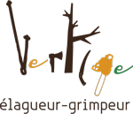 Vertige - Arboristes élagueurs-grimpeurs en Wallonie